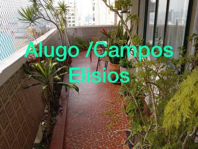 #AP 0033 - Apartamento para Locação em São Paulo - SP - 1